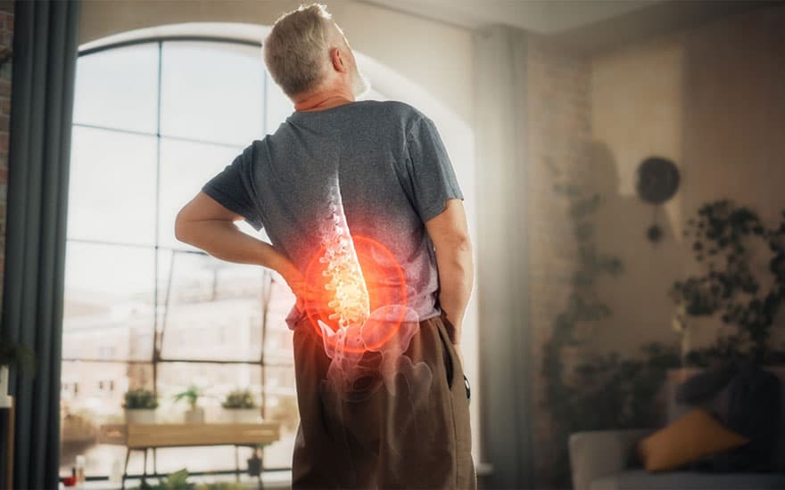 Posture, Pain, and Performance: The Science of Spinal Optimization