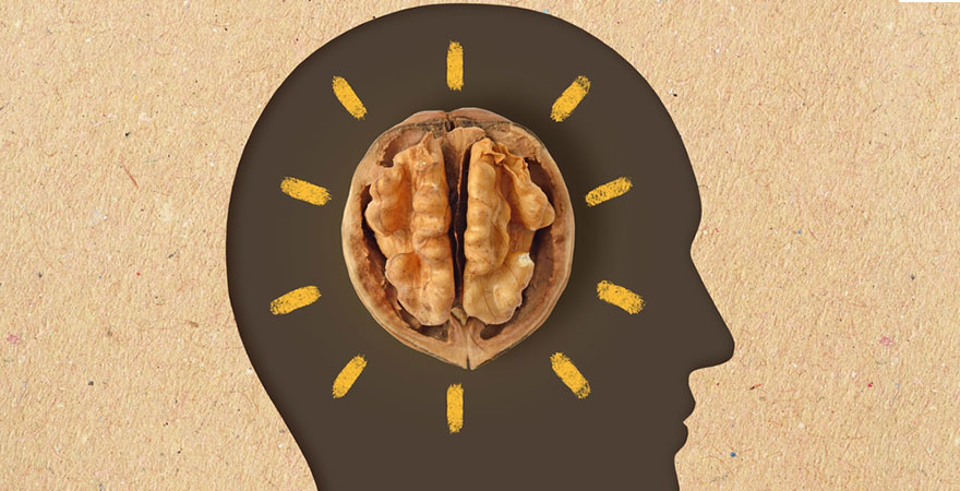 Nourishing Your Brain: How Nutrients Shape Cognitive Health